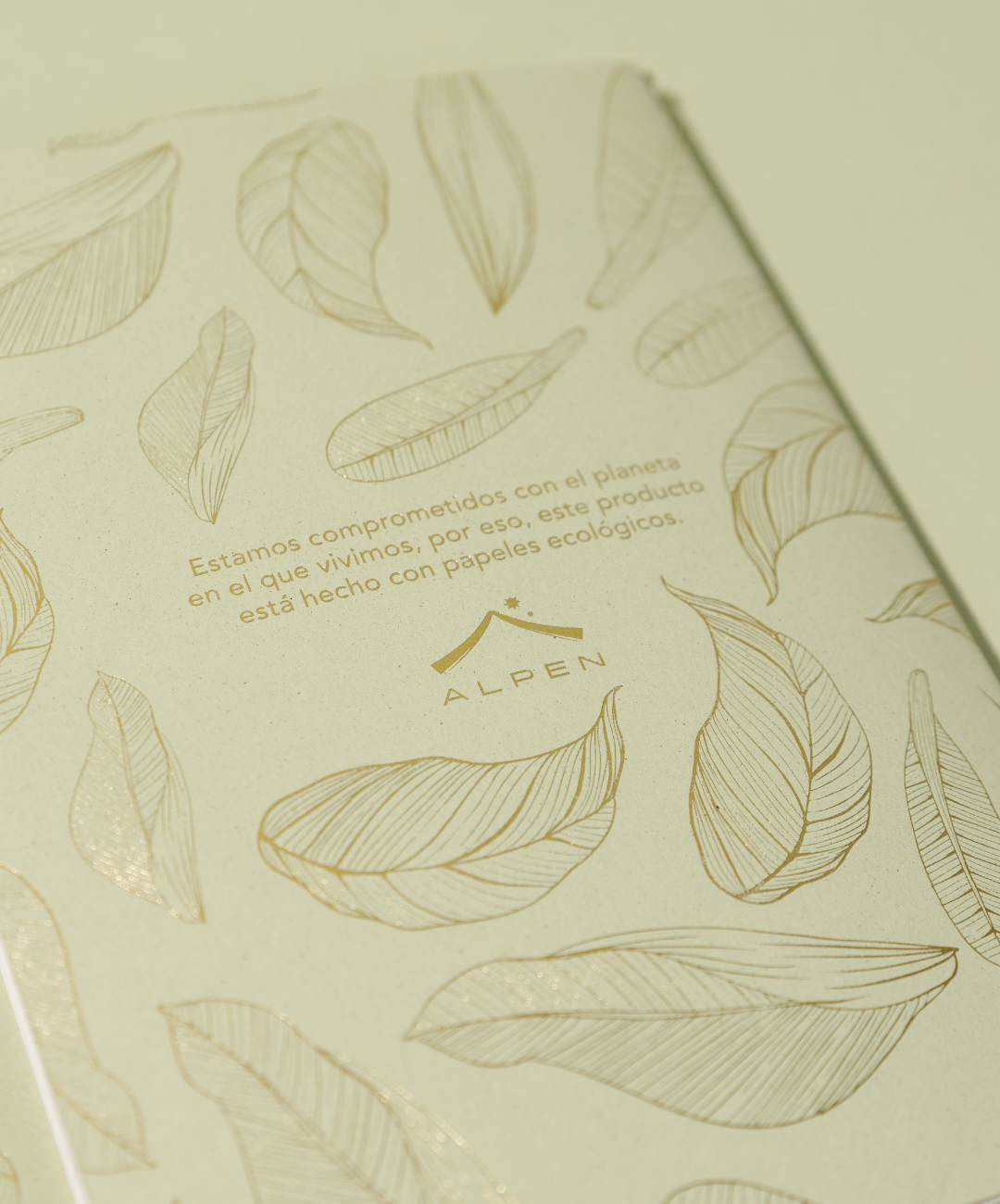 Libreta Econotas Kiwi
