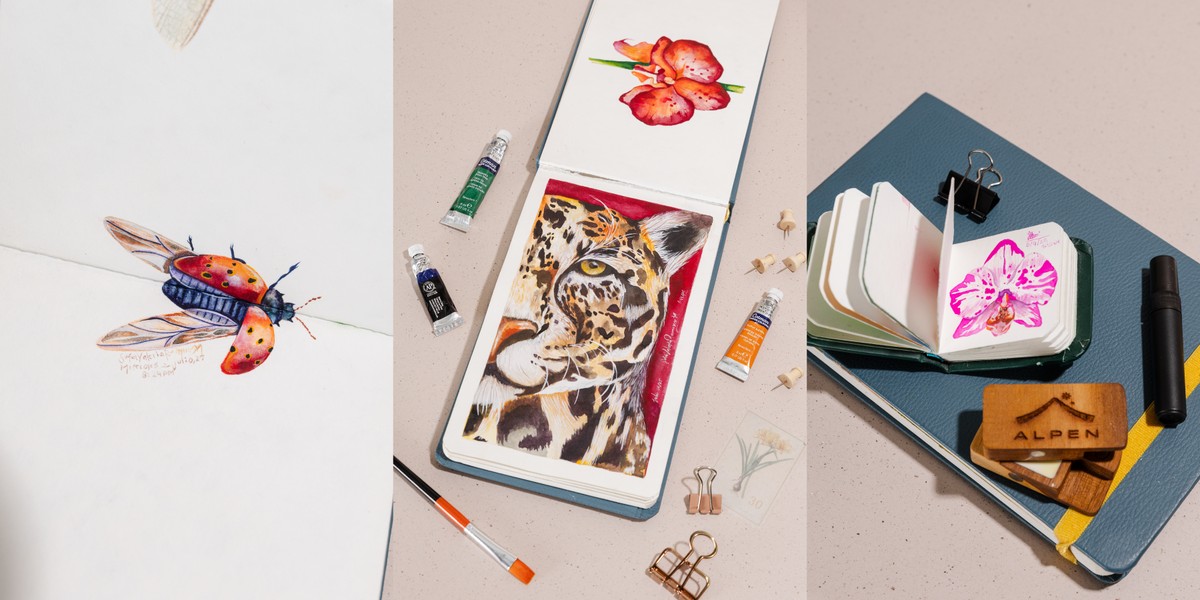 Sketchbooks Arte