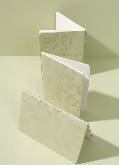 Libreta Econotas Kiwi