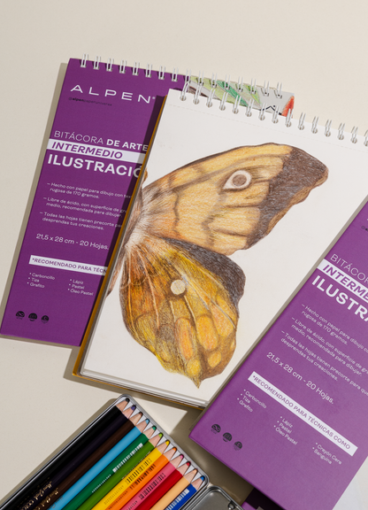 Bitácora de arte Ilustración - Carta