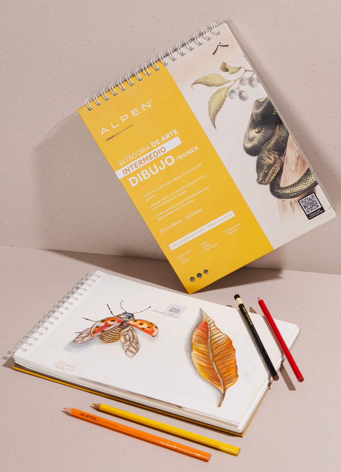Alpen Paper Universe
