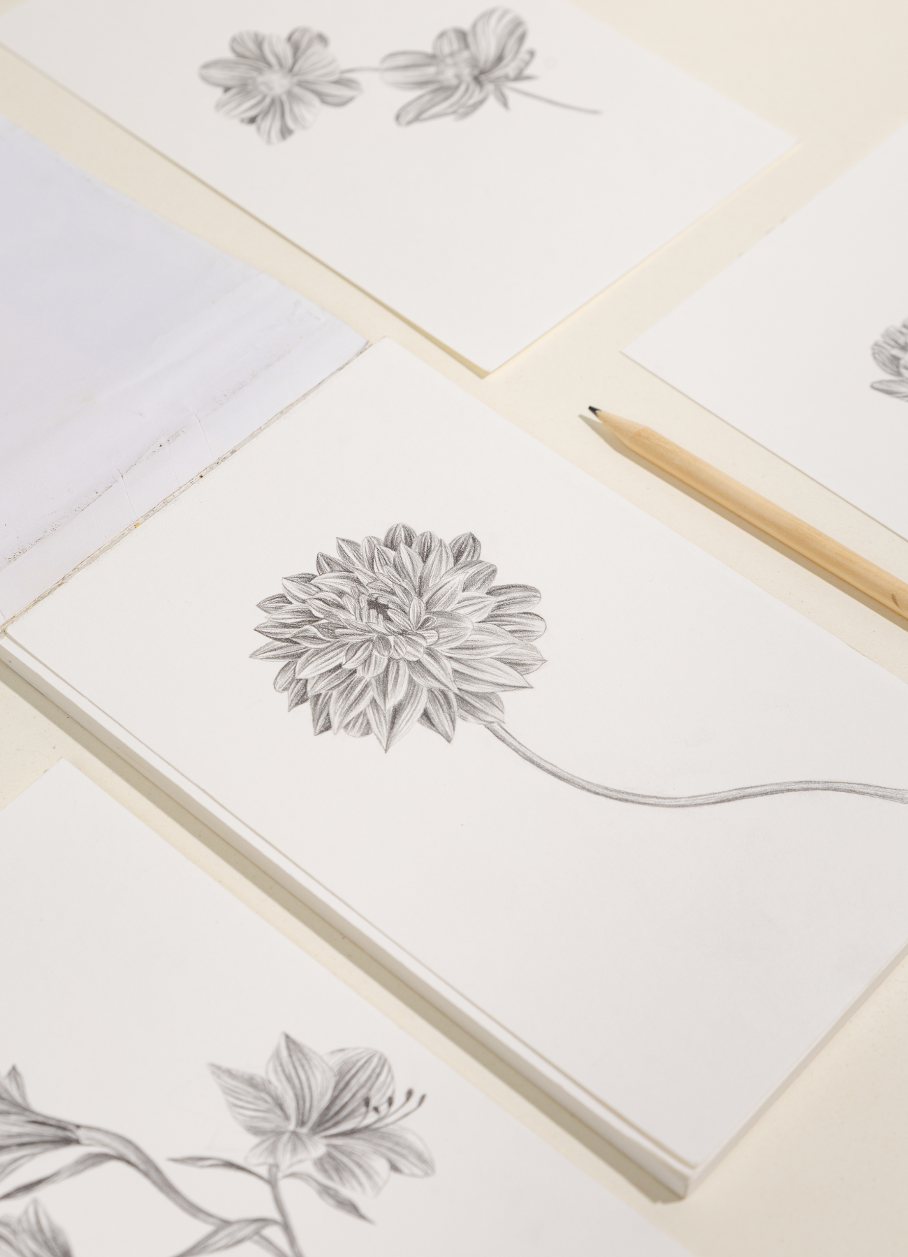 Block de arte escolar dibujo media carta