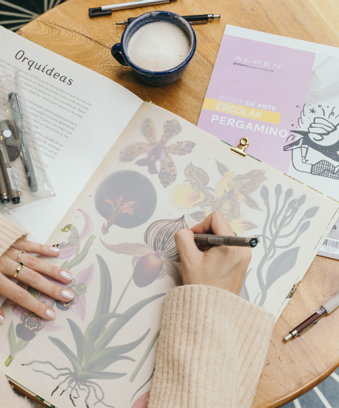 Block Escolar Pergamino Octavo