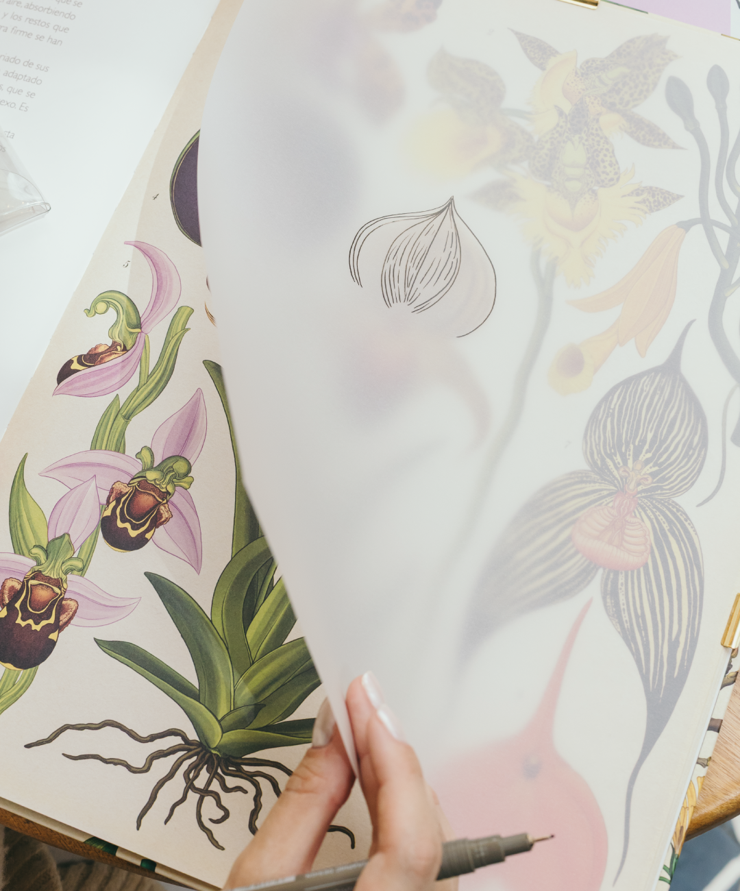 Block Escolar Pergamino Octavo