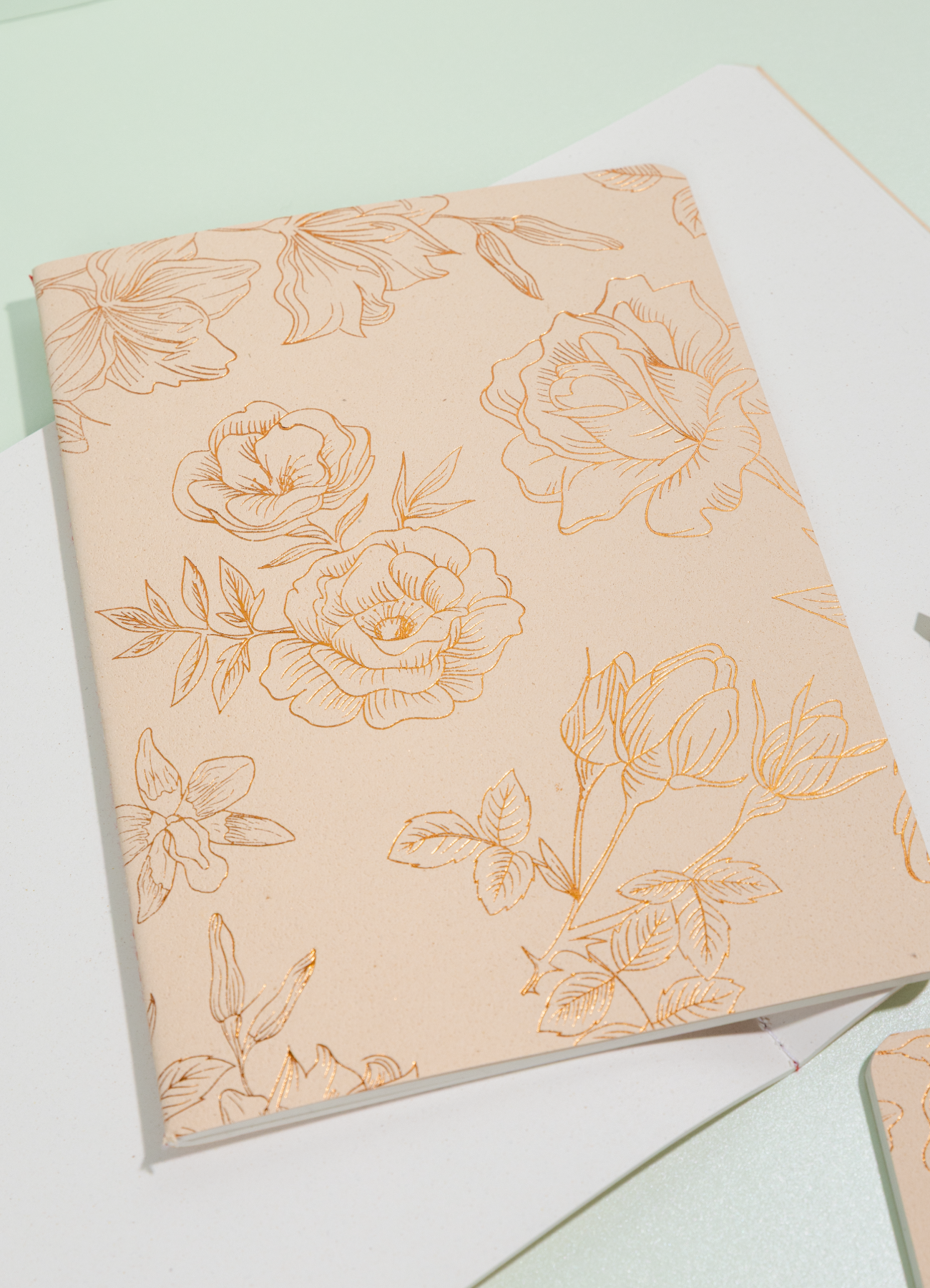 Libreta Econota arena