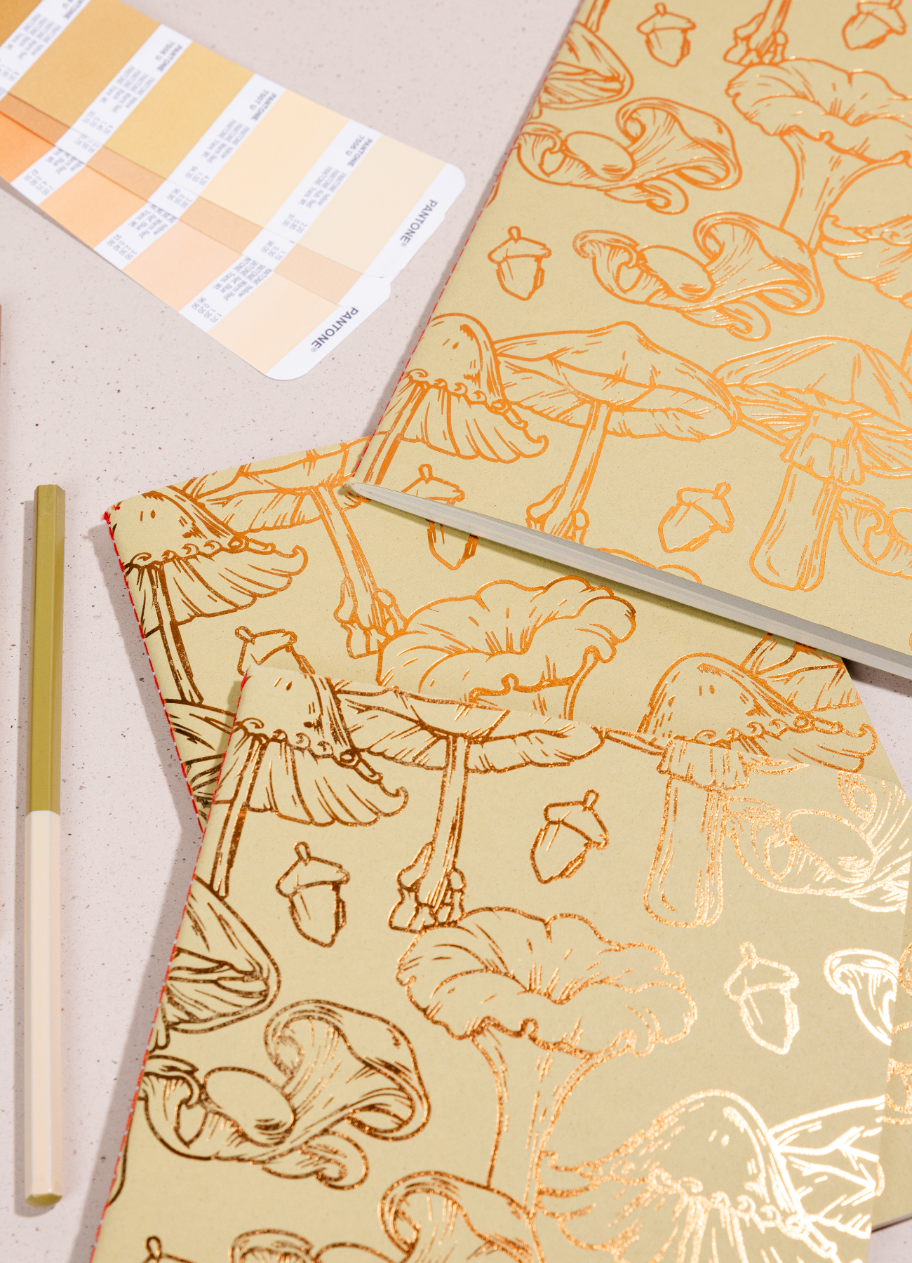 Libreta Econotas Oliva