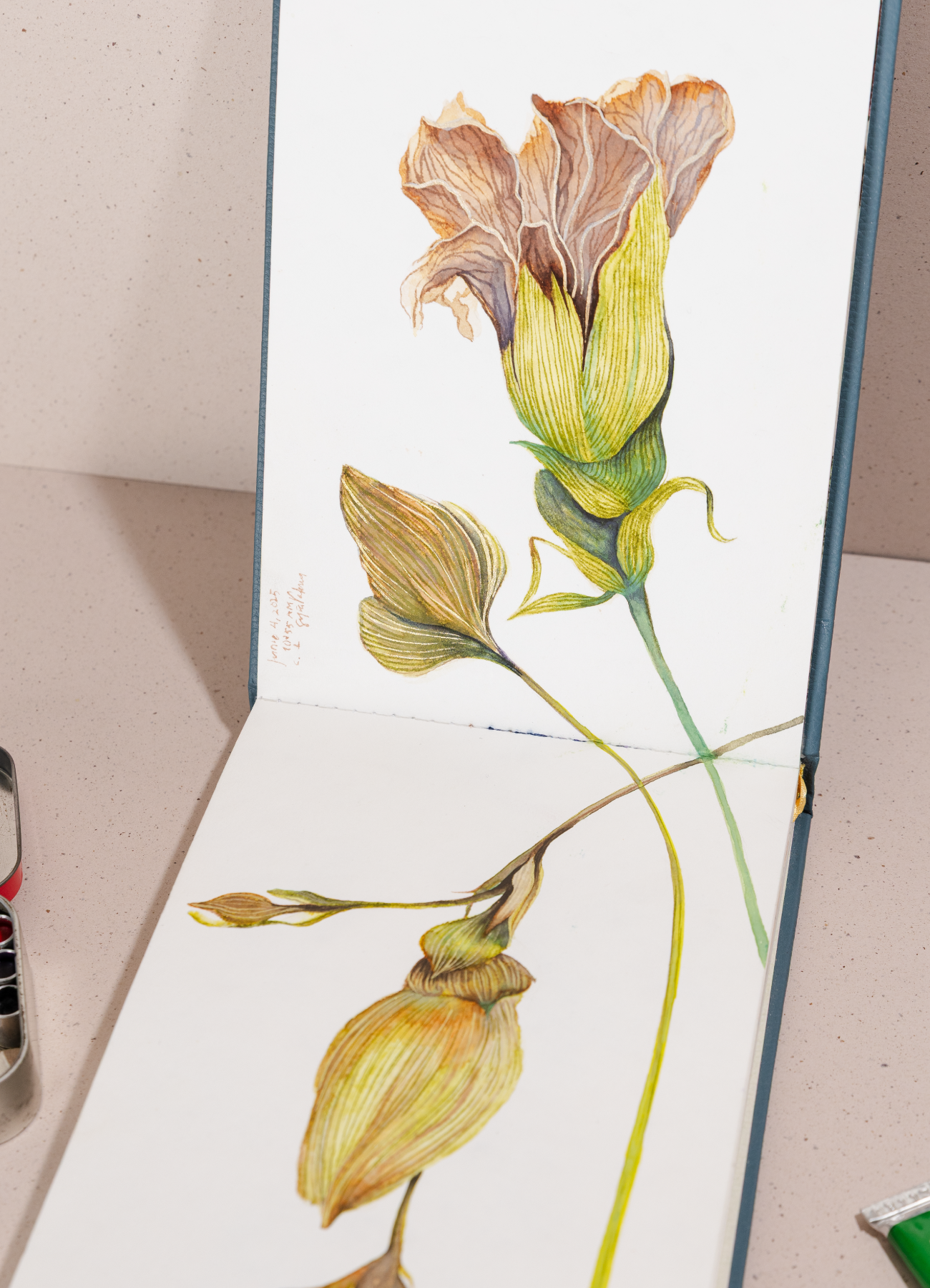Sketchbook Acuarela Verde