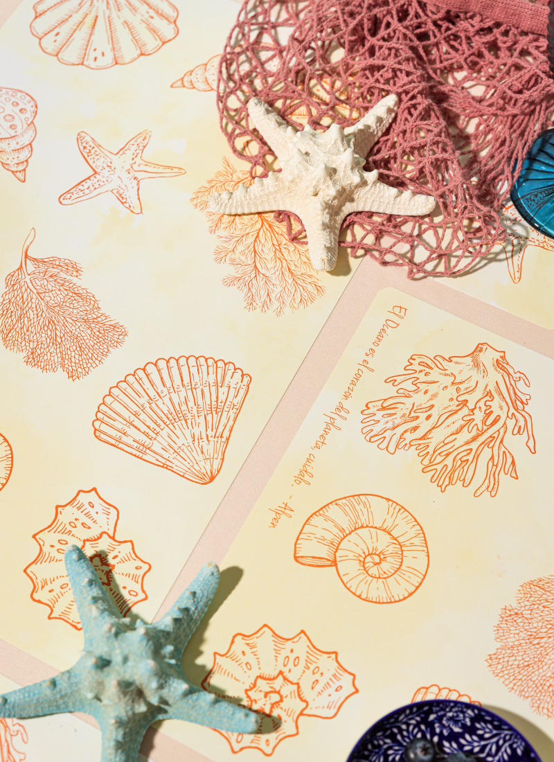 Set individuales + portavasos Coral
